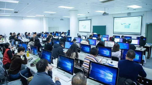 大連東軟信息學(xué)院計算機(jī)科學(xué)與技術(shù)專業(yè)入選國家一流本科專業(yè)建設(shè)點，技術(shù)服務(wù)能力獲得國家認(rèn)可