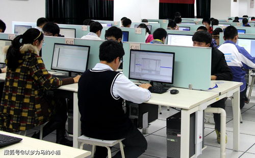 計(jì)算機(jī)技術(shù)開(kāi)發(fā) 理科男生的黃金賽道，就業(yè)率高前景廣闊